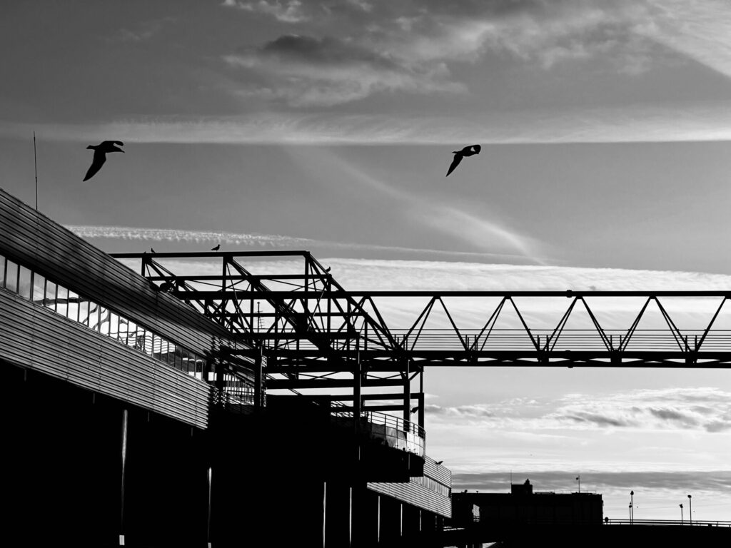 Grazevillas - À la pointe de la terre, juste avant que la mer ne s’étende et ne se confonde parfois avec le ciel, il y a le port maritime de Boulogne-sur-Mer.  Au crépuscule, quand l’activité industrielle se réduit, un placide silence règne : une ville déserte où ne résonne que le cris perçant des mouettes. Les façades et les bâtiments se dressent, habitent à leur tour l’espace de leur ombre.